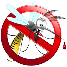 Interventi di disinfestazione dalle zanzare