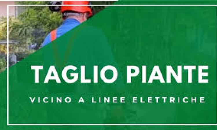 Terna Rete Italia -Taglio piante in prossimità di linee elettriche di alta tensione.
