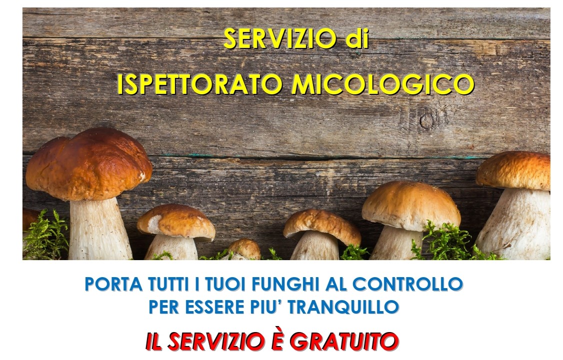 Evita i rischi! Porta i tuoi funghi al Servizio di ispettorato Micologico.