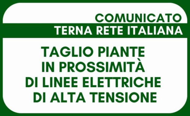 Taglio piante in prossimità di linee elettriche di alta tensione